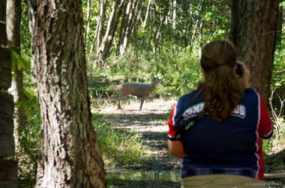 2014 3D US Intercollegiate Archery Championships