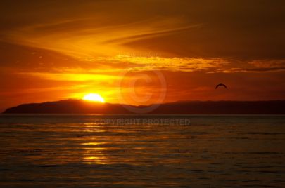Sunset at the Beach