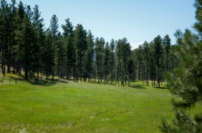 Black Hills - South Dakota