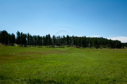 Black Hills - South Dakota