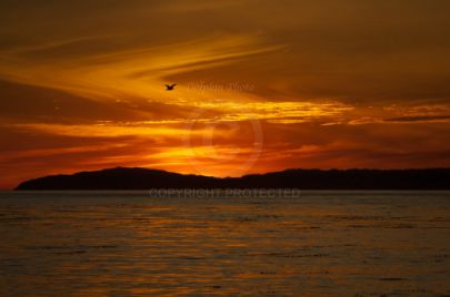 Sunset at the Beach