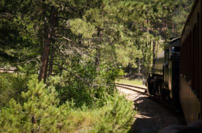 Black Hills - South Dakota