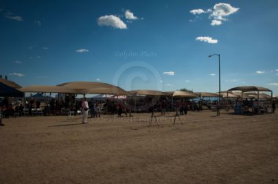 AZ Cup Olympic Rounds