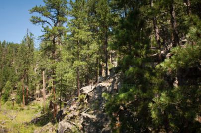 Black Hills - South Dakota
