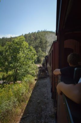 Black Hills - South Dakota