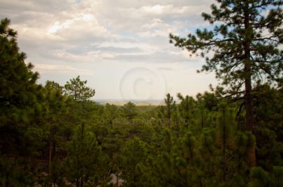 Black Hills - South Dakota