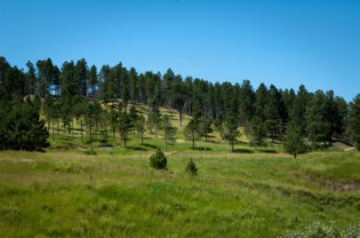 Black Hills - South Dakota